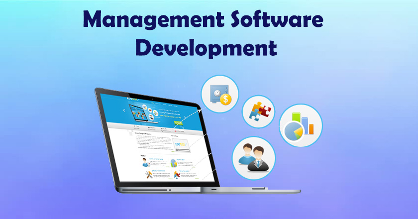 management software development