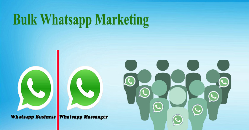 bulk whatsapp marketing service