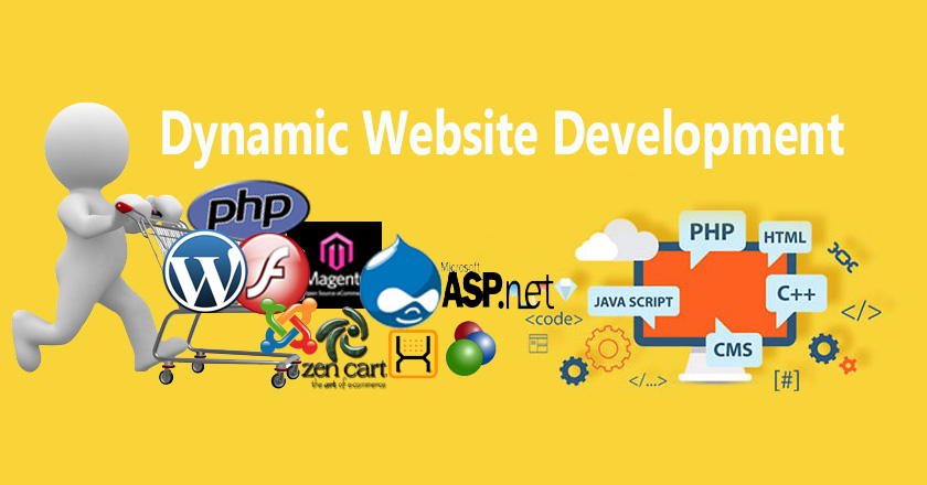 dynamic website development